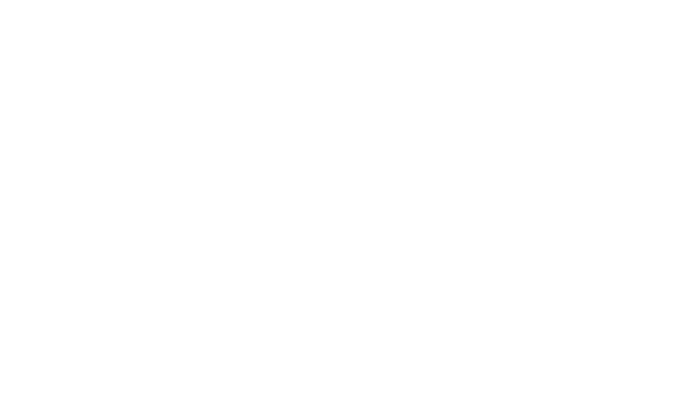GMINI